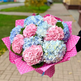 Букет из 11 гортензий