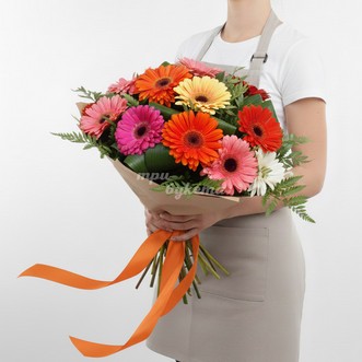 17 разноцветных гербер