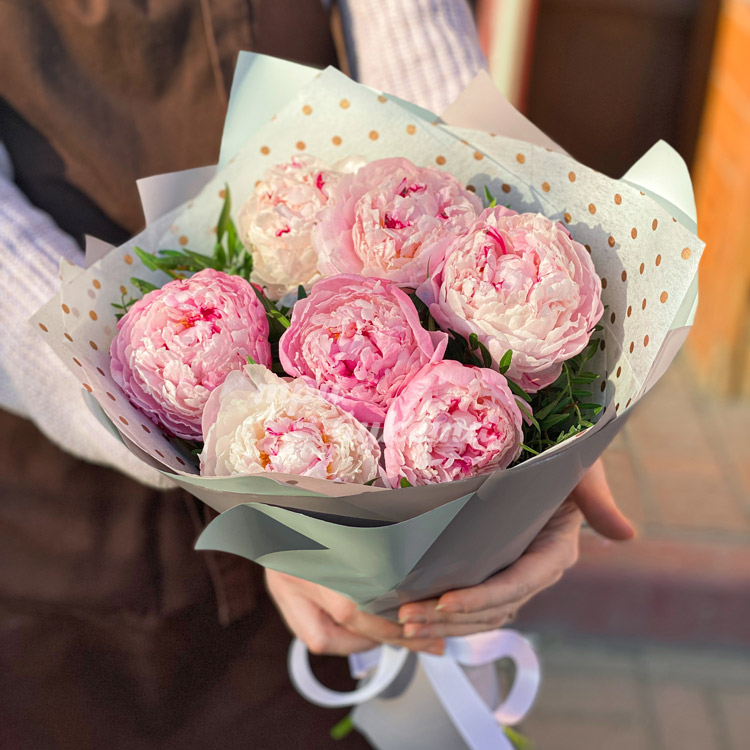 Букет из 7 пионов (в двух руках)