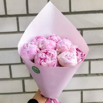 9 пионов Сара Бернар Premium