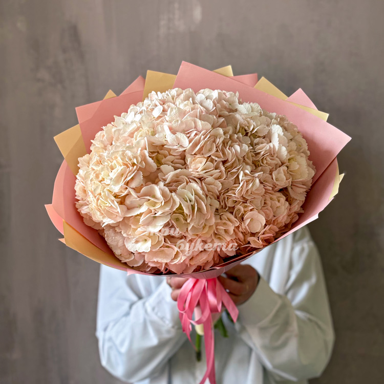 Букет из 3 персиковых гортензий (в руках флориста)