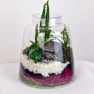 Флорариум с кактусами на камнях